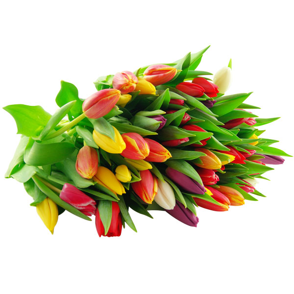 10 bunte Tulpen im Bund