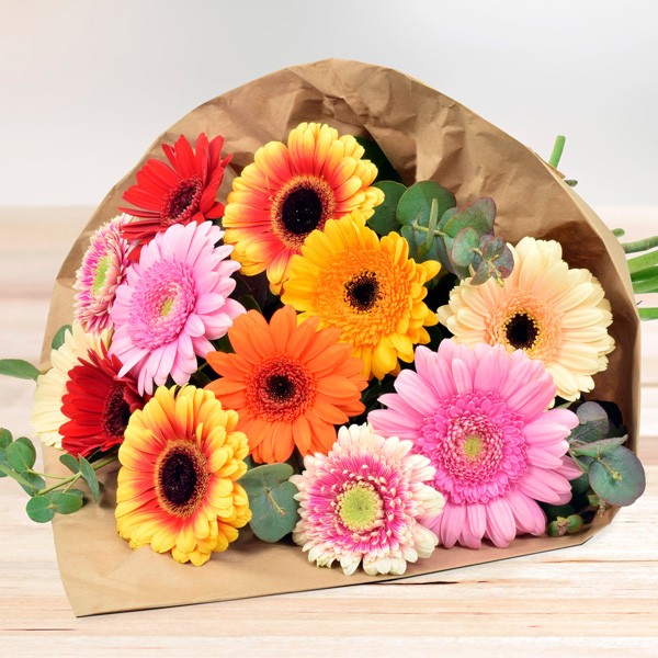 Mobiliseren verlangen koper 12 bunte Gerberas in schöner Papiertüte - Schnittblumen Blumenversand |  Bluvesa.de - Blumen online verschicken